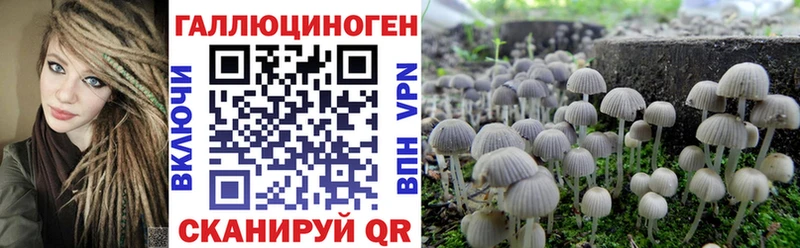 Псилоцибиновые грибы ЛСД  ОМГ ОМГ как войти  Железногорск 